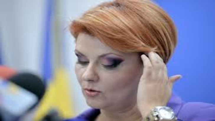 CNCD reacţionează după afirmaţiile xenofobe ale Olguţei Vasilescu 
